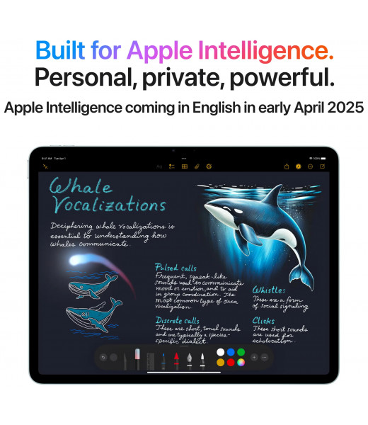 iPad Air 13 inch M3 Chip (2025) Price in Sri Lanka