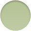 iPhone 17 Sage Color