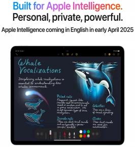 Buy iPad Air 13 inch M3 Chip (2025) in Sri Lanka